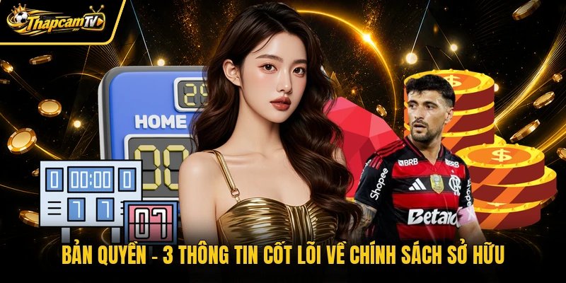 Bản Quyền - 3 Thông Tin Cốt Lõi Về Chính Sách Sở Hữu