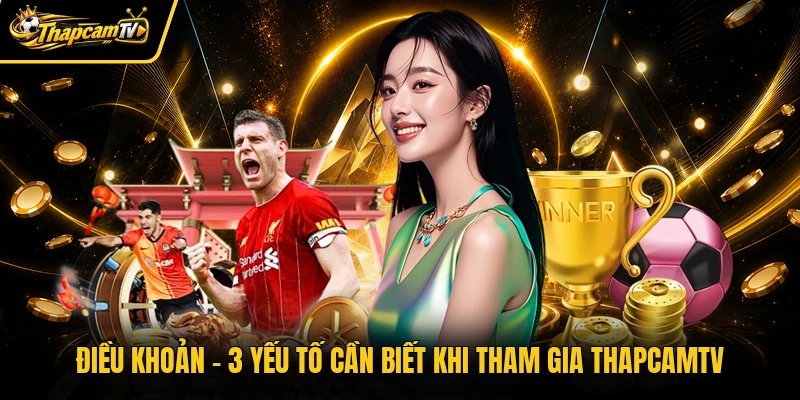 Điều Khoản - 3 Yếu Tố Cần Biết Khi Tham Gia Thapcamtv